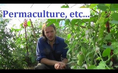 La culture sur buttes 1 : permaculture et agroécologie