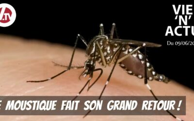 Le moustique est de retour, le club Léo a 60ans – Vie’N’Actu du 09 06 2023