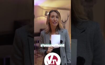 L’emploi sur le Vienne Pays Viennois