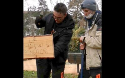 Une expo nature au jardin de ville – Vie&rsquo;N&rsquo;Actu Vienne 14 01 2022