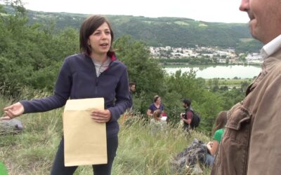 Les Prairies – L&rsquo; Echo Responsable du Pays Viennois