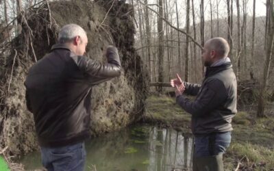 L&rsquo; Echo Responsable du Pays Viennois –  épisode 1 – l’île Barlet