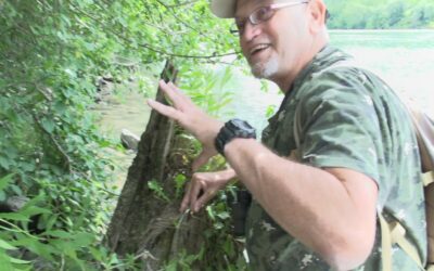 l&rsquo; Echo Responsable du Pays Viennois – Les Insectes