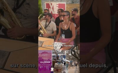 🎸Deluxe nous partage leur petit secret avant de monter sur scène ! #vienne #deluxe #jazz #pourtoi