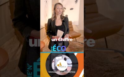 Teaser Les reseaux Pro sur Vienne Pays viennois