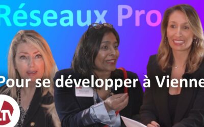 Les réseaux professionnels à Vienne.